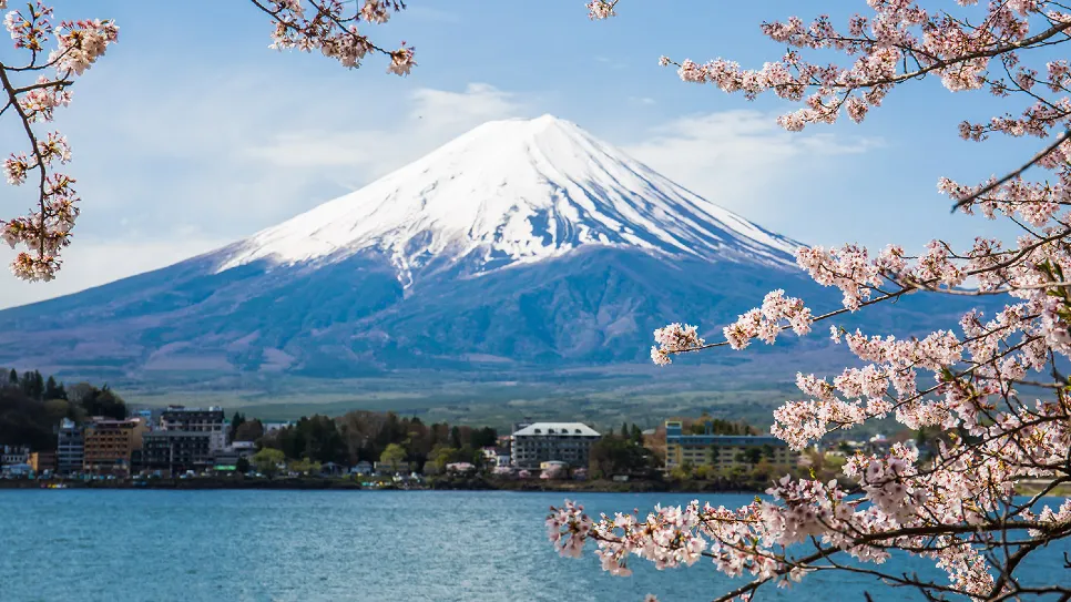 Núi Phú Sĩ nở rộ hoa Anh Đào