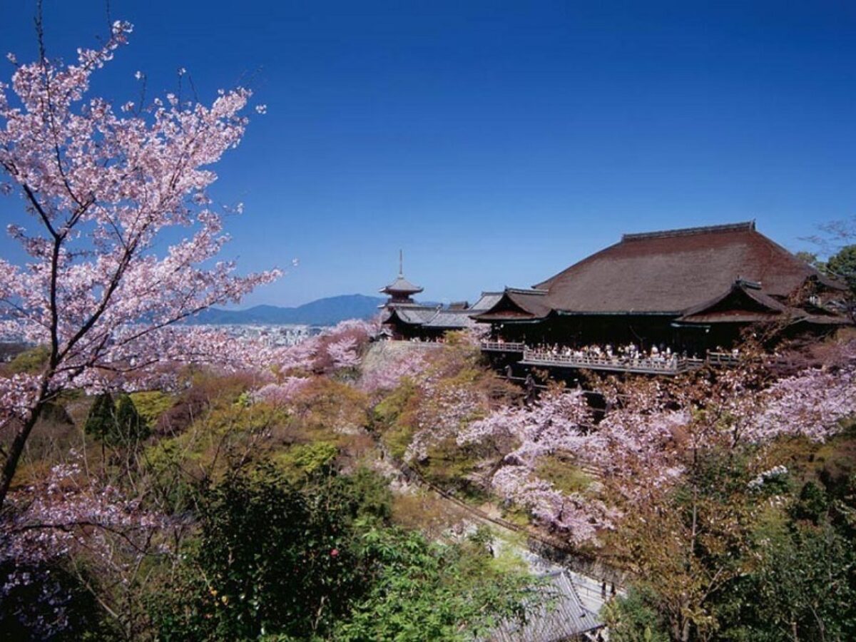 Khám phá Thanh Thủy Tự (Kiyomizu-dera): Di sản văn hóa tại Nhật Bản - Trải Nghiệm đi...!