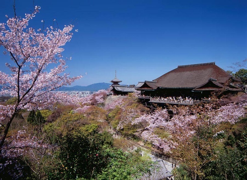 Khám phá Thanh Thủy Tự (Kiyomizu-dera)