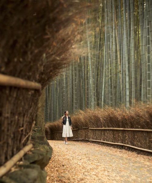 Rừng Trúc Arashiyama vào Thu chụp hình khá đẹp