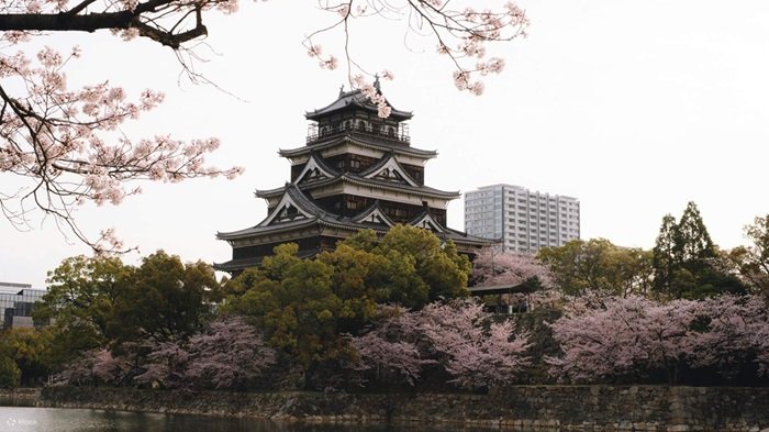  Lâu đài Hiroshima Hoa anh đào