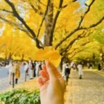Meiji Jingu Gaien