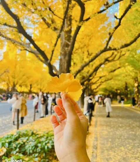 Meiji Jingu Gaien
