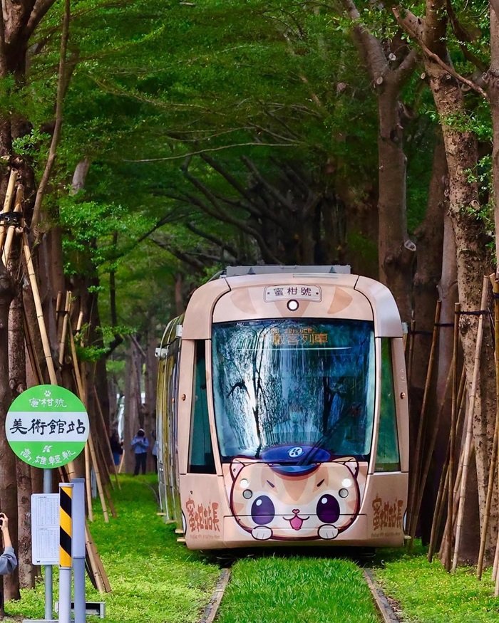 Đường Hầm Totoro