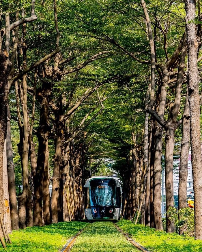 Đường Hầm Totoro