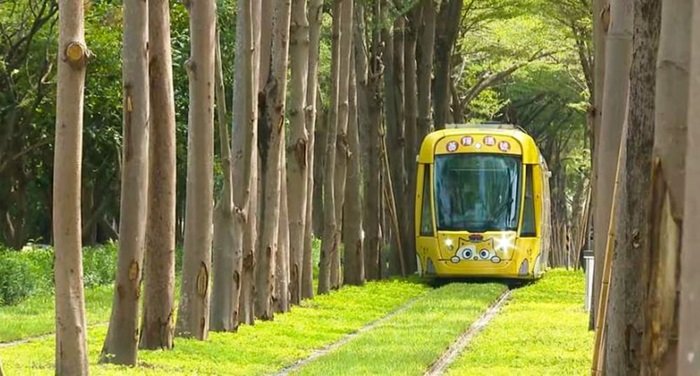 Đường Hầm Totoro