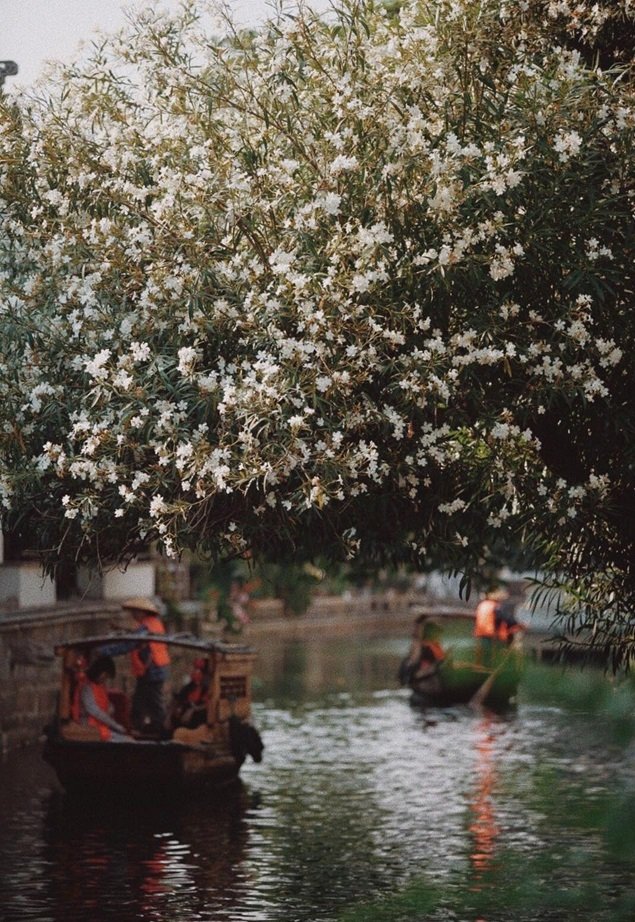 Phố cổ Bình Giang