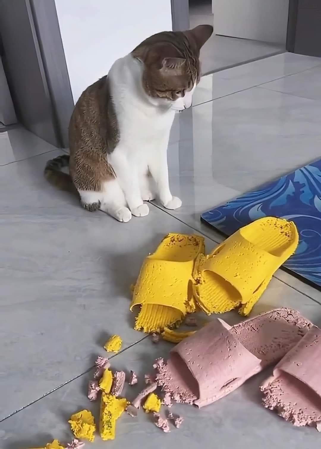 Phá đồ chủ yếu