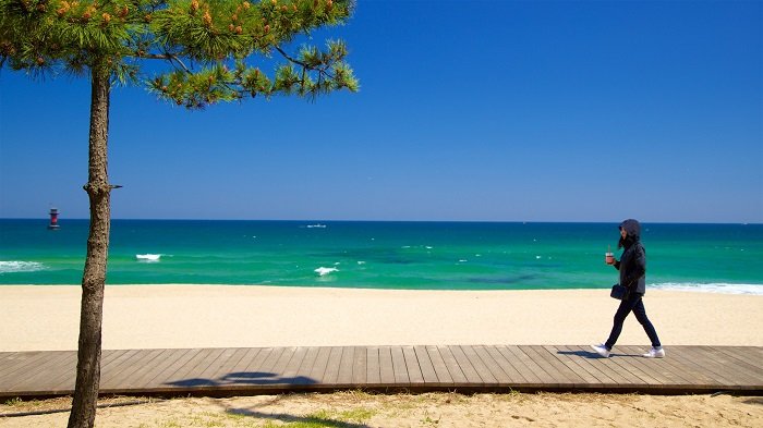 Bãi Biển Gyeongpo