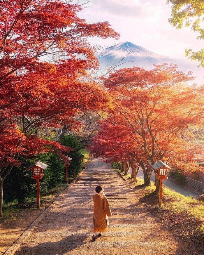 Thử Thách 398 Bậc Thang "Sakuya-hime"