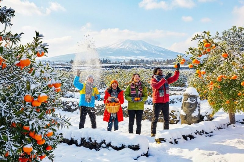 Du lịch Jeju Mùa Đông: Có Tuyết Không?
