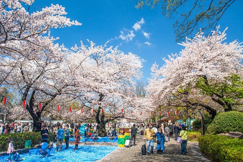 công viên Maruyama