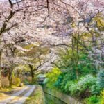 công viên Maruyama