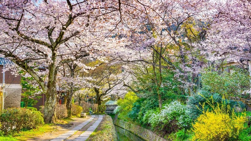 công viên Maruyama