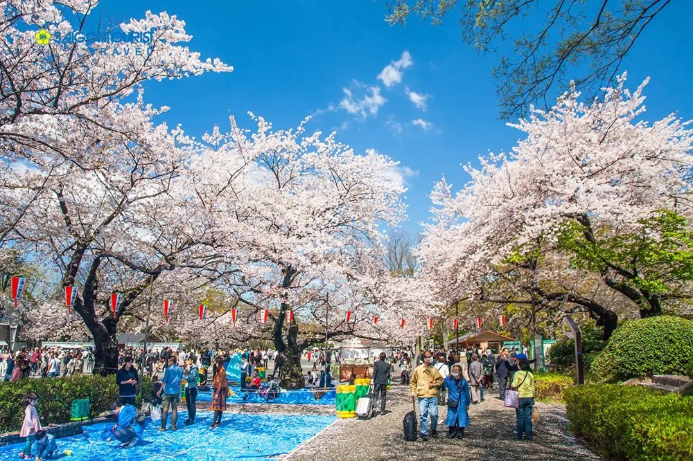 Công viên Ueno (Ueno Onshi Koen)