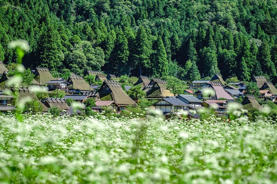 Kayabuki no Sato