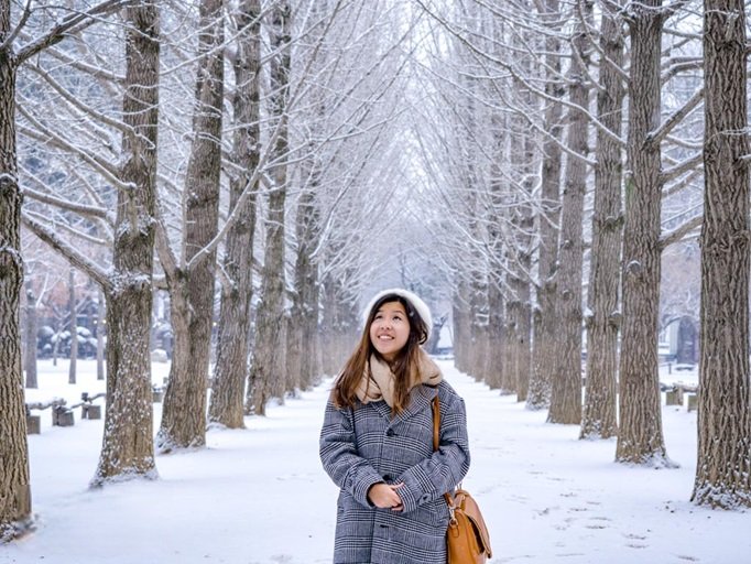 Đảo Nami (Nami Island