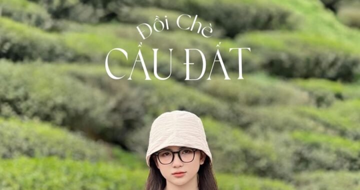 Đồi chè Cầu Đất
