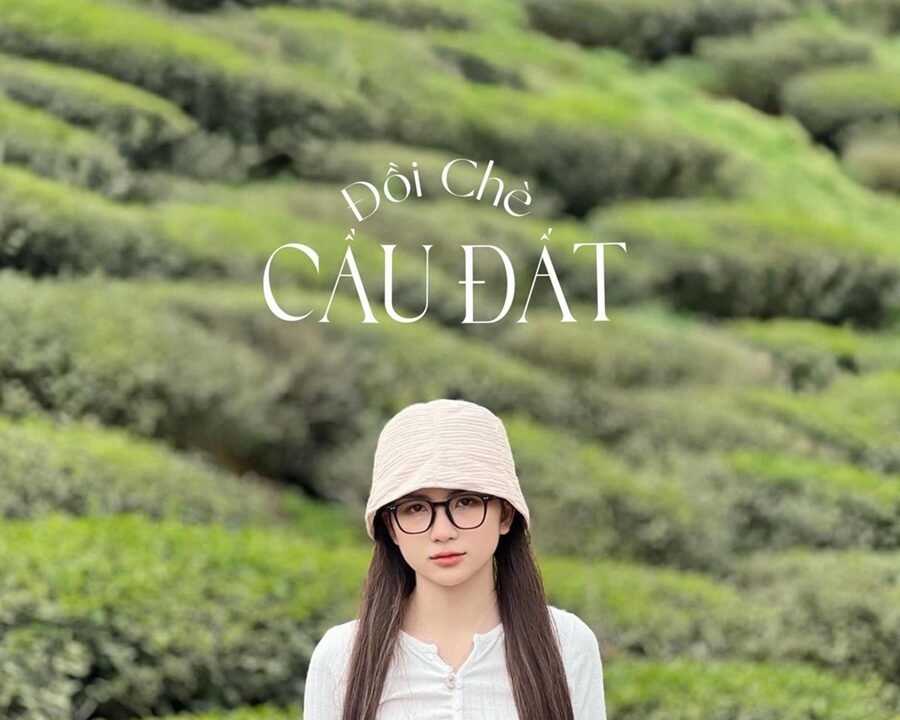 Đồi chè Cầu Đất