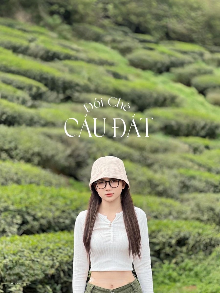 Đồi chè Cầu Đất