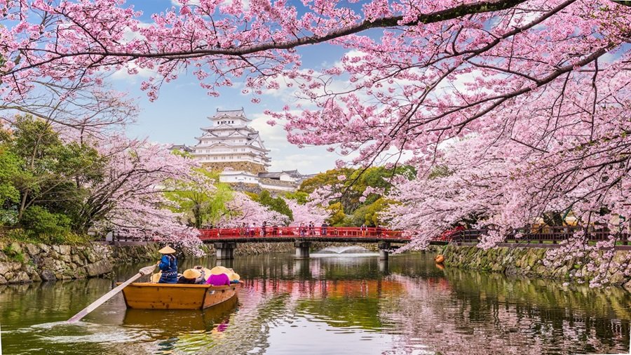 Lâu Đài Himeji(姫路城): Tuyệt Tác “Hạc Trắng” Nguyên Bản Bất Tử Hơn 400 Năm