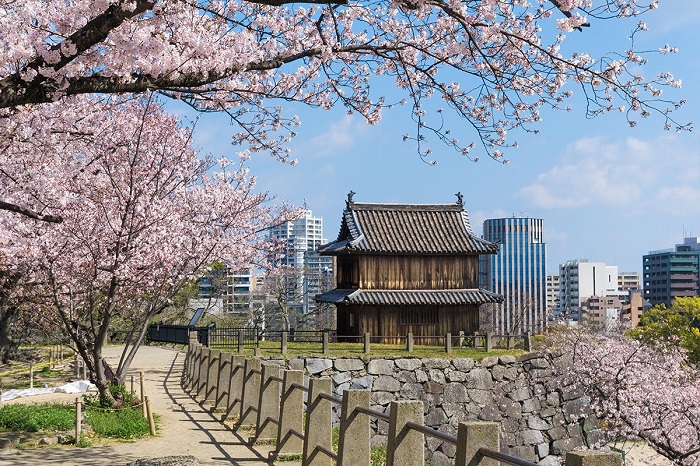Lâu đài Fukuoka
