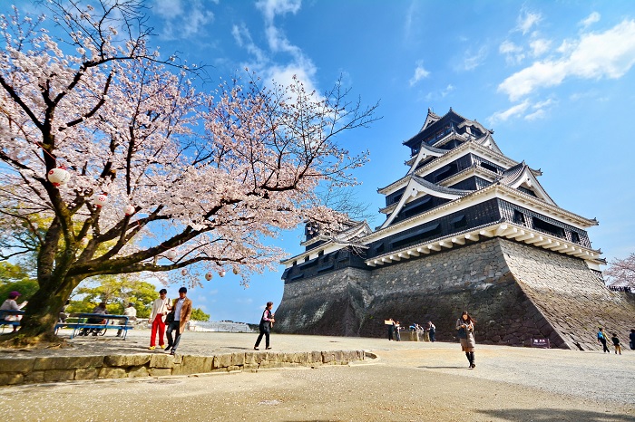 Lễ hội Hoa Anh Đào Fukuoka