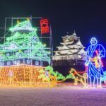 Osaka Festival of the Lights