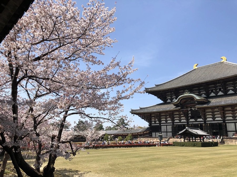 Chùa Todaiji