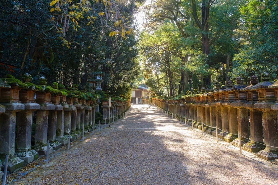 Đường lên đền Kasuga Taisha