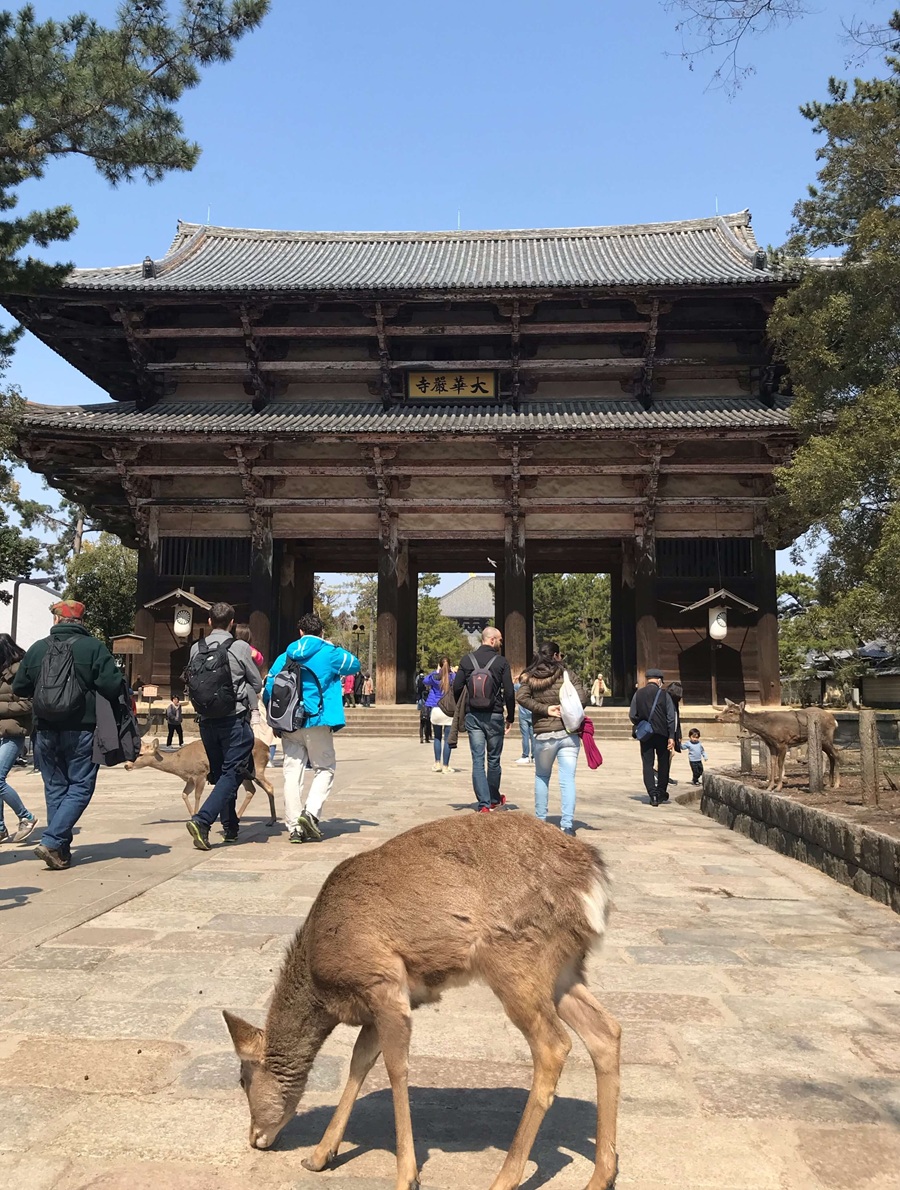 Cổng Nandaimon (Chùa Todaiji)