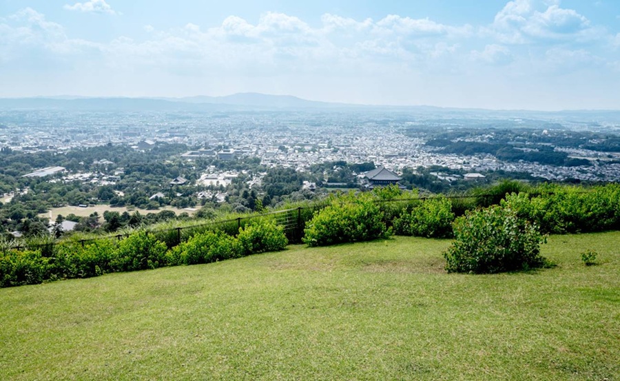 Đỉnh đồi Wakakusa (Mount Wakakusa)
