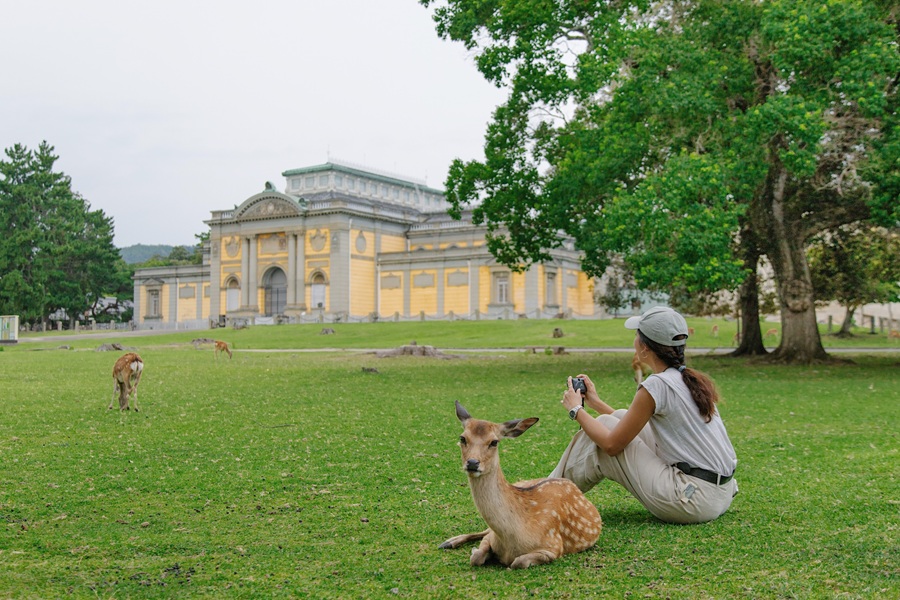 Công viên Nara (Nara Park)