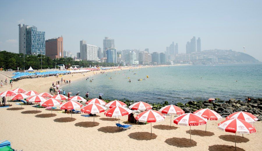 Bãi biển Haeundae đông đúc du khách vào mùa hè, Busan