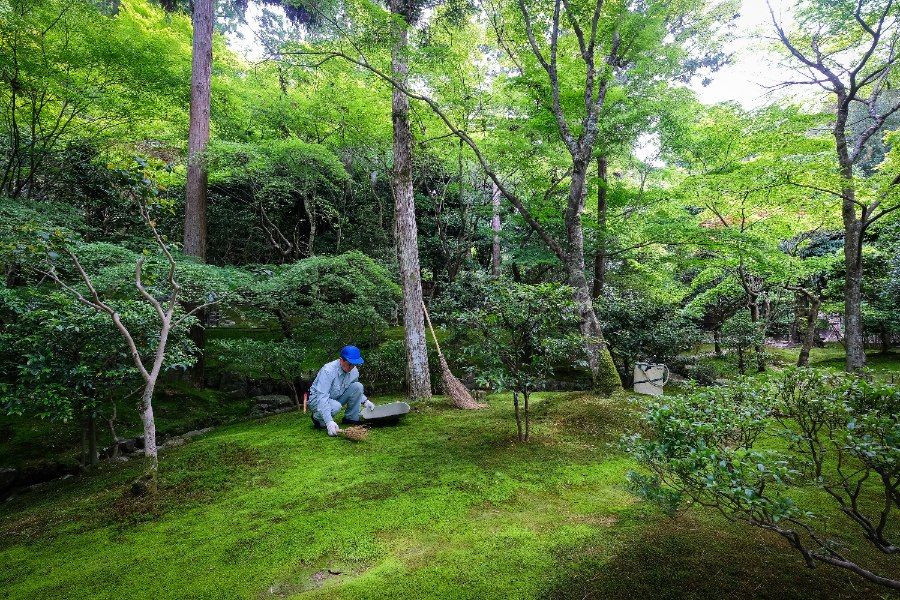 Chùa Bạc Ginkakuji điểm khởi đầu Con Đường Triết Gia