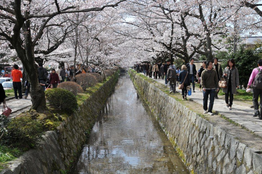 Kênh nước dọc Con Đường Triết Gia Kyoto để đi bộ dạo