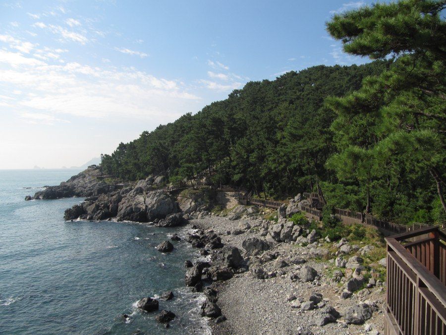 Đảo Dongbaek gần bãi biển Haeundae với con đường đi bộ ven biển