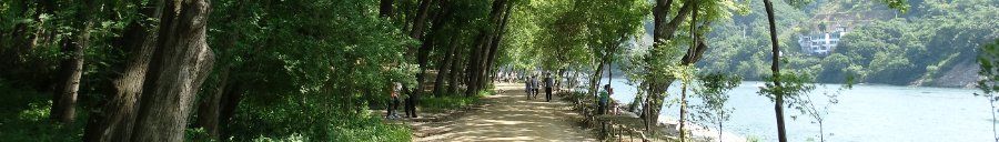 Con đường ven sông Bắc Hán rợp bóng cây trên đảo Nami, Gapyeong, Hàn Quốc
