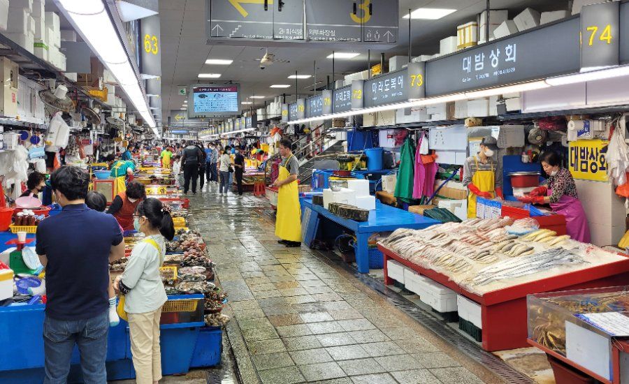 Chợ hải sản Jagalchi lớn nhất Hàn Quốc tại Busan