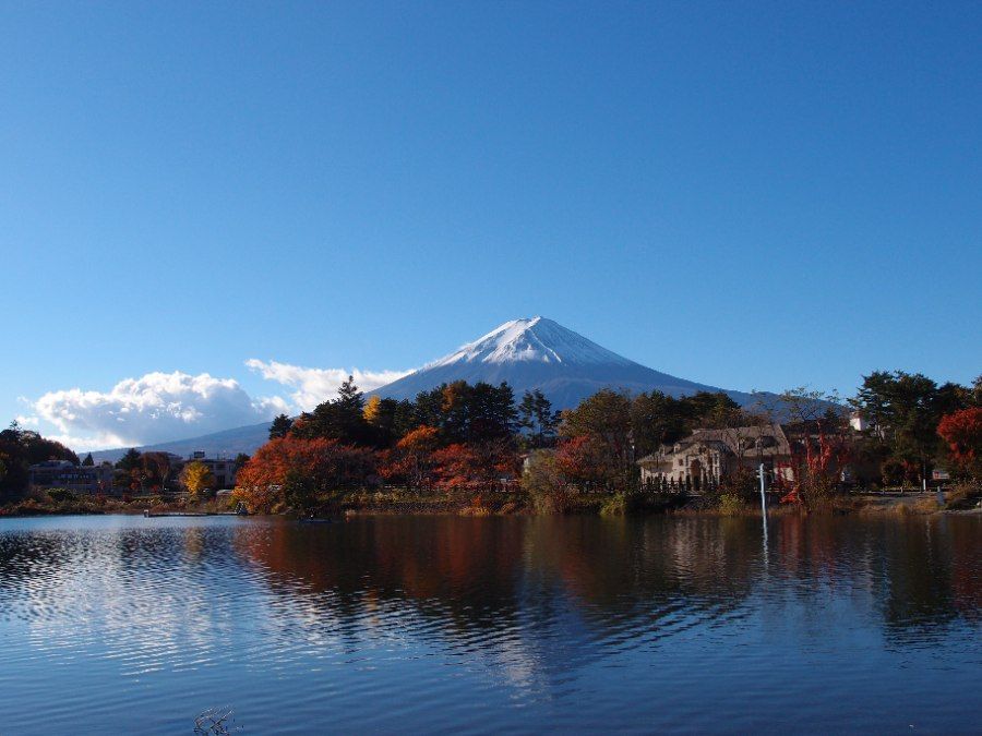 Núi Phú Sĩ phủ tuyết soi bóng xuống hồ Kawaguchiko, điểm đến day trip phổ biến từ Tokyo