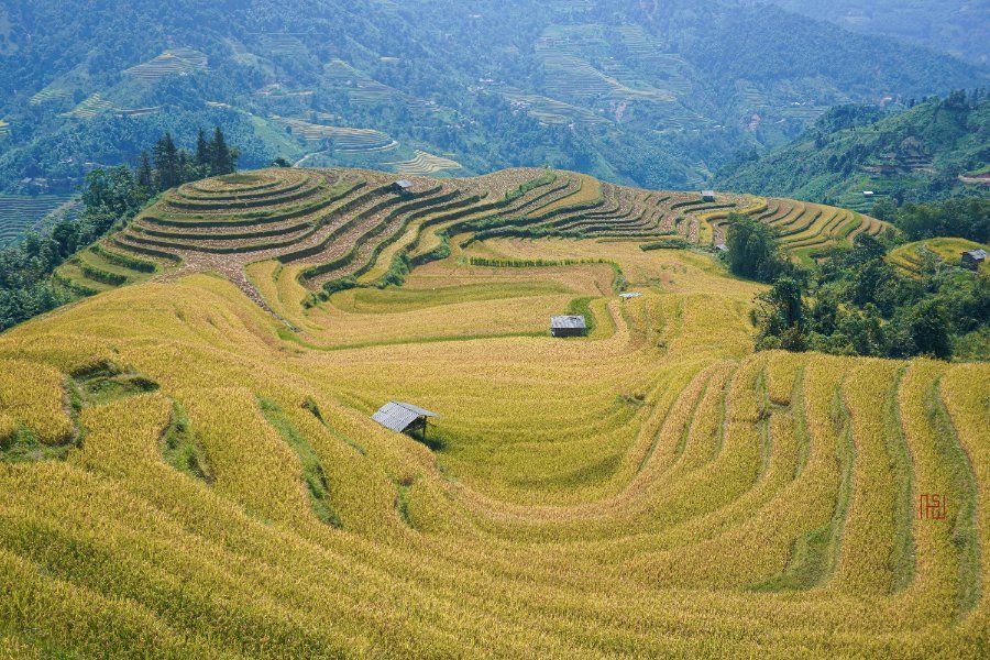 Ruộng bậc thang Nậm Khòa, Hoàng Su Phì, Hà Giang