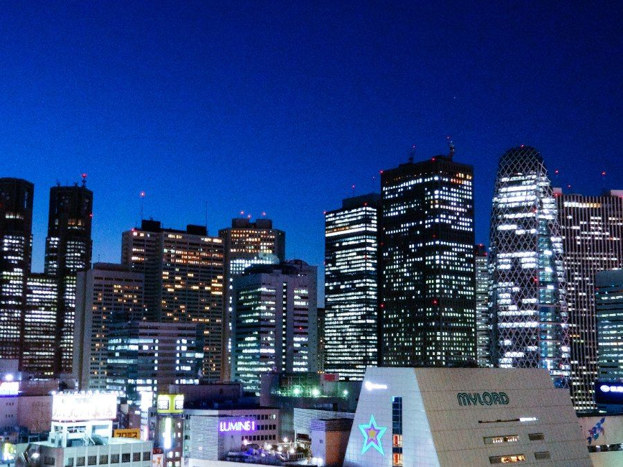 Đường chân trời Shinjuku về đêm, khu vực tập trung nhiều khách sạn cho khách du lịch Tokyo