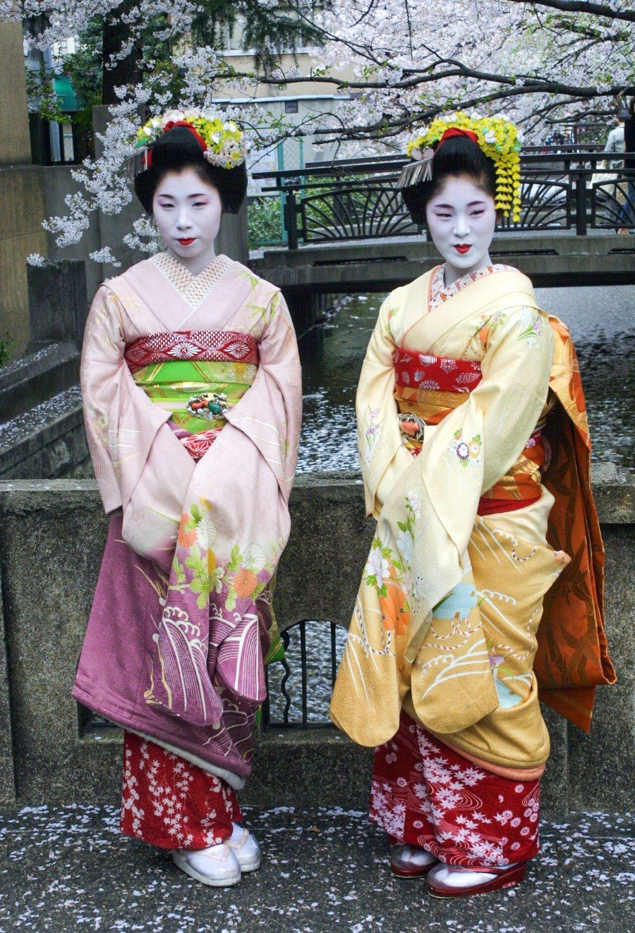 Hoa anh đào tại Kyoto vào mùa xuân