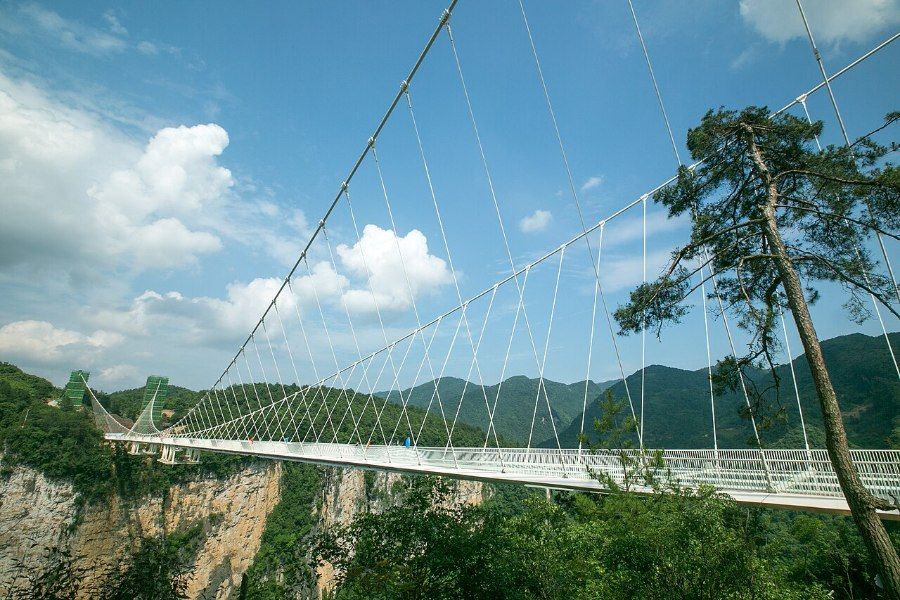Cầu kính Trương Gia Giới nhìn từ đáy hẻm núi