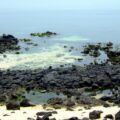 Bãi biển cát san hô trắng Seobinbaeksa nổi tiếng trên đảo Udo, Jeju
