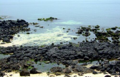 Bãi biển cát san hô trắng Seobinbaeksa nổi tiếng trên đảo Udo, Jeju