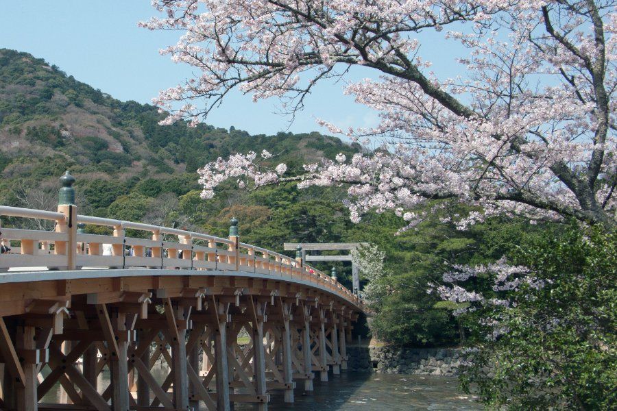 Cầu Uji-bashi - một trong những cây cầu cổ nhất Nhật Bản bắc qua sông Uji