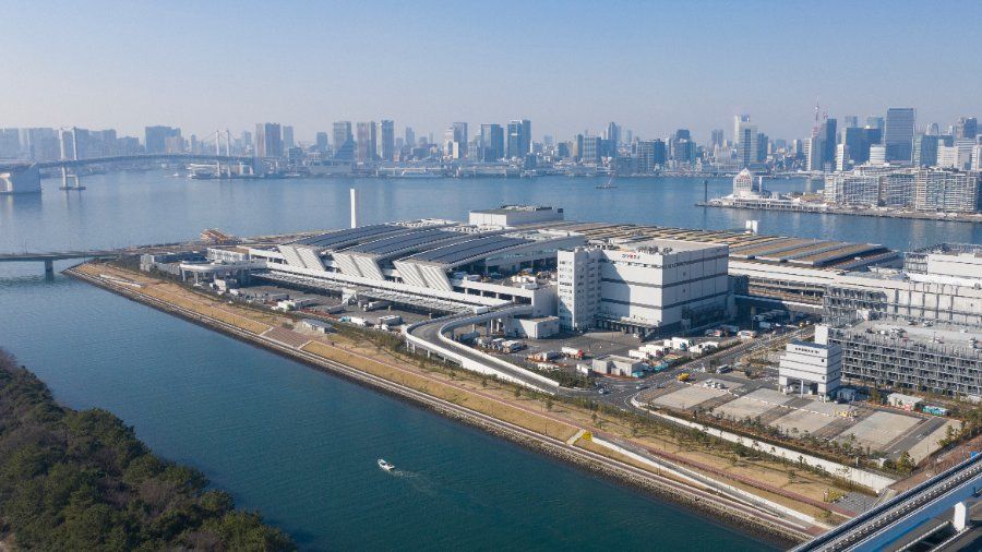 Chợ Toyosu Market Tokyo