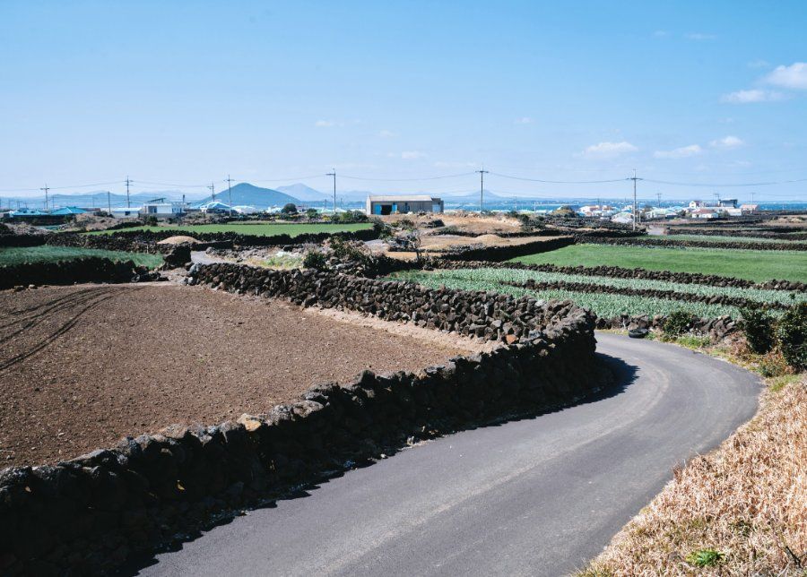 Cảnh quan trên cung đường Olle Route 1-1 vòng quanh đảo Udo, Jeju
