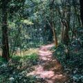 Cung đường đi bộ Olle Trail ven biển tại Jeju